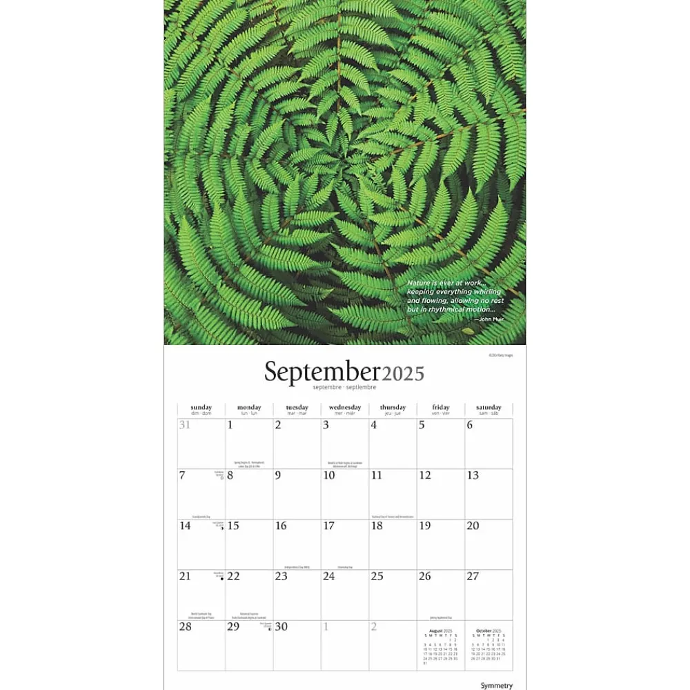 2025 Calendars|BrownTrout 2025 Brush Dance Symmetry 12" x 12" Monthly Wall Calendar (9781975481445)