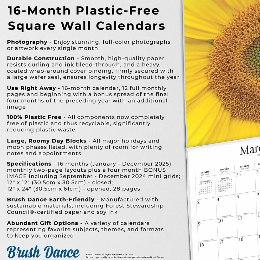 2025 Calendars|BrownTrout 2025 Brush Dance Symmetry 12" x 12" Monthly Wall Calendar (9781975481445)