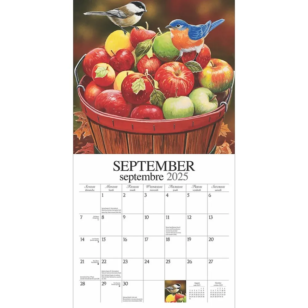 2025 Calendars|Hopper Studios 2025 Feathered Friends Amis a Plumes 12" x 12" Monthly Wall Calendar (9781773728223)