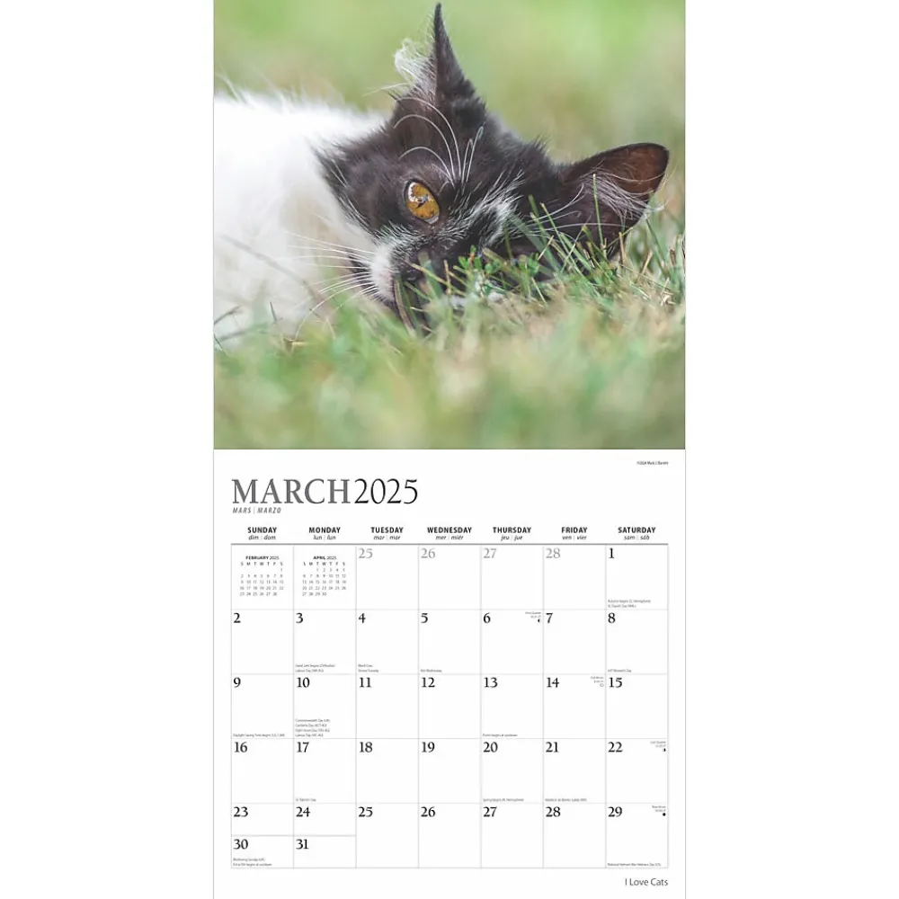 2025 Calendars|Plato 2025 I Love Cats 12" x 12" Monthly Wall Calendar (9781975478957)