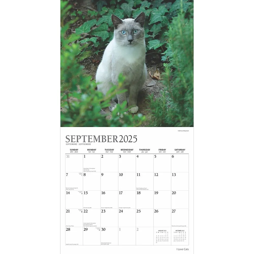 2025 Calendars|Plato 2025 I Love Cats 12" x 12" Monthly Wall Calendar (9781975478957)