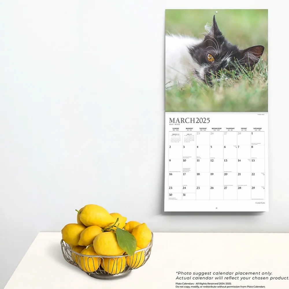 2025 Calendars|Plato 2025 I Love Cats 12" x 12" Monthly Wall Calendar (9781975478957)