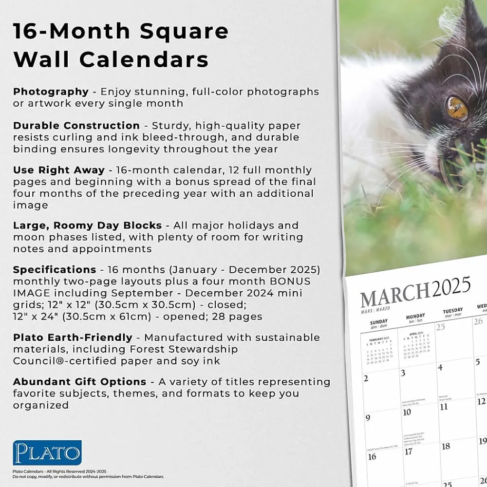 2025 Calendars|Plato 2025 I Love Cats 12" x 12" Monthly Wall Calendar (9781975478957)