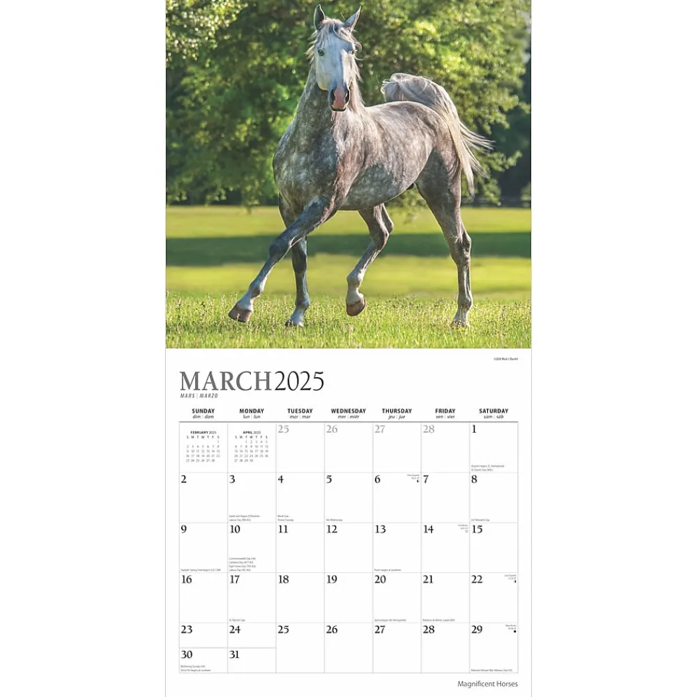2025 Calendars|Plato 2025 Magnificent Horses 12" x 12" Monthly Square Wall Calendar (9781975478995)