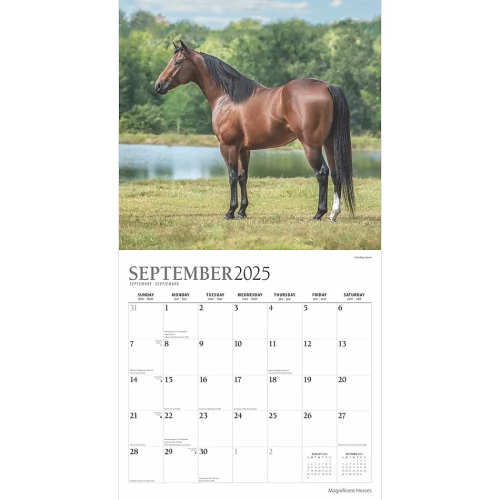 2025 Calendars|Plato 2025 Magnificent Horses 12" x 12" Monthly Square Wall Calendar (9781975478995)