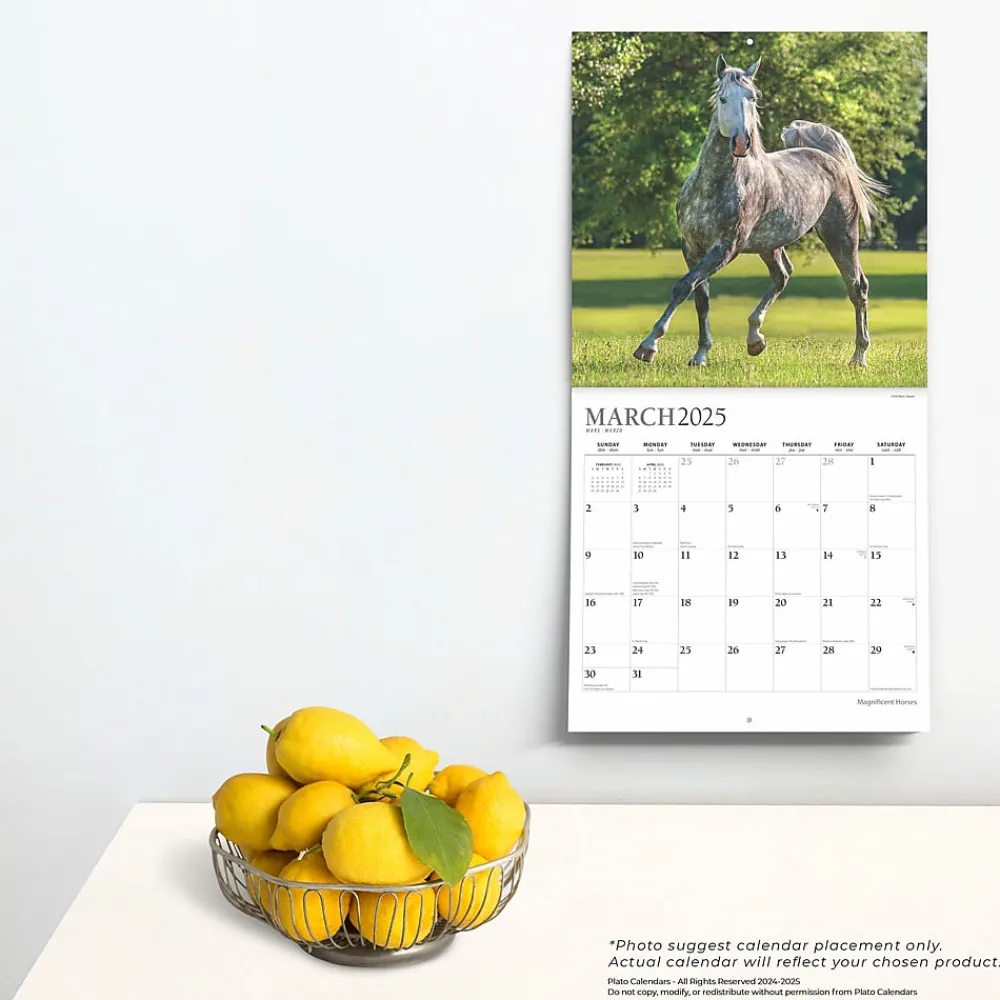 2025 Calendars|Plato 2025 Magnificent Horses 12" x 12" Monthly Square Wall Calendar (9781975478995)