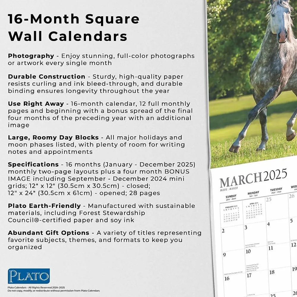 2025 Calendars|Plato 2025 Magnificent Horses 12" x 12" Monthly Square Wall Calendar (9781975478995)