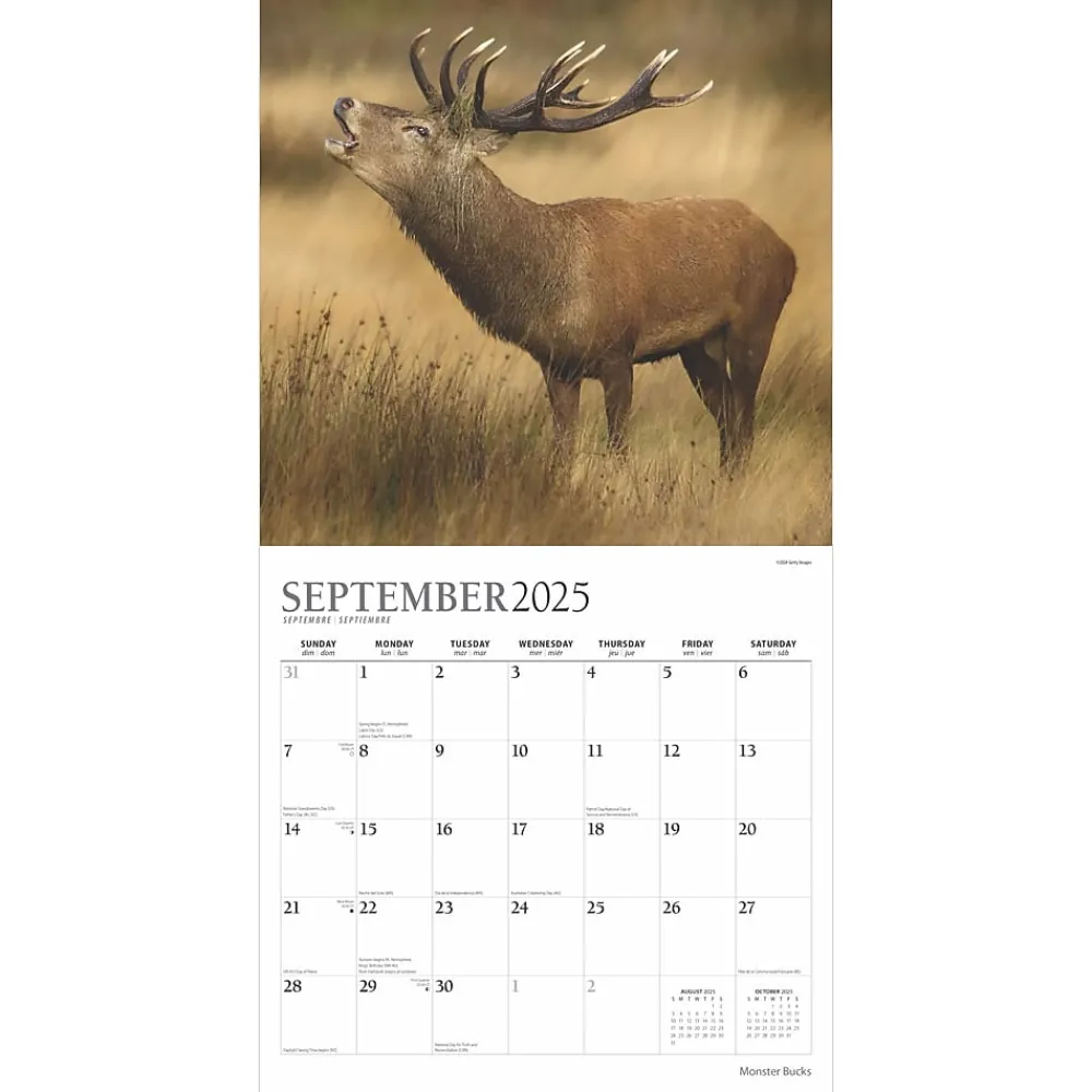 2025 Calendars|BrownTrout 2025 Plato Monster Bucks 12" x 24" Monthly Square Wall Calendar, (9781975480769)