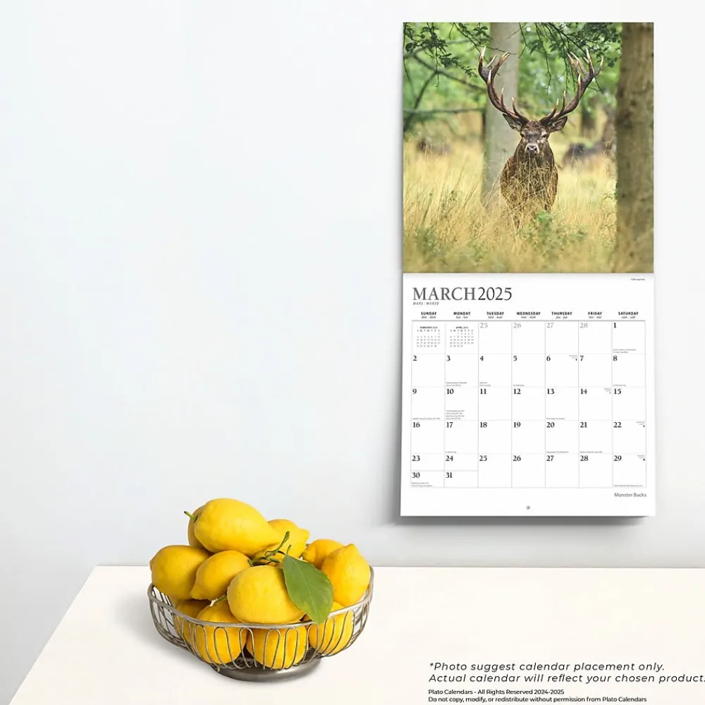 2025 Calendars|BrownTrout 2025 Plato Monster Bucks 12" x 24" Monthly Square Wall Calendar, (9781975480769)