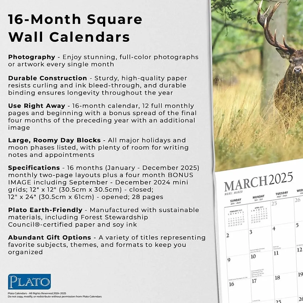 2025 Calendars|BrownTrout 2025 Plato Monster Bucks 12" x 24" Monthly Square Wall Calendar, (9781975480769)