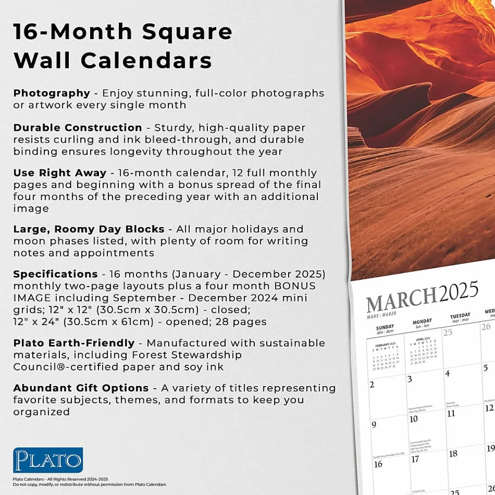 2025 Calendars|Plato 2025 Psalms 12" x 24" Monthly Square Wall Calendar (9781975478841)
