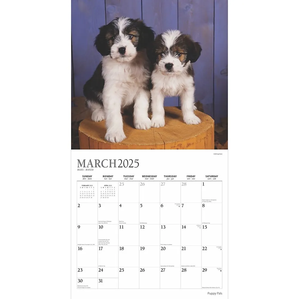 2025 Calendars|Plato 2025 Puppy Pals 12" x 12" Monthly Square Wall Calendar (9781975478988)