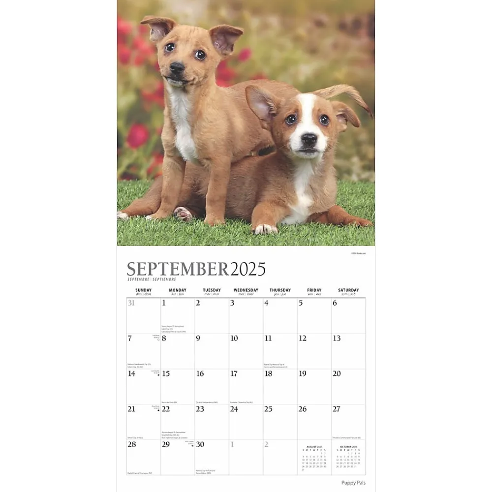2025 Calendars|Plato 2025 Puppy Pals 12" x 12" Monthly Square Wall Calendar (9781975478988)