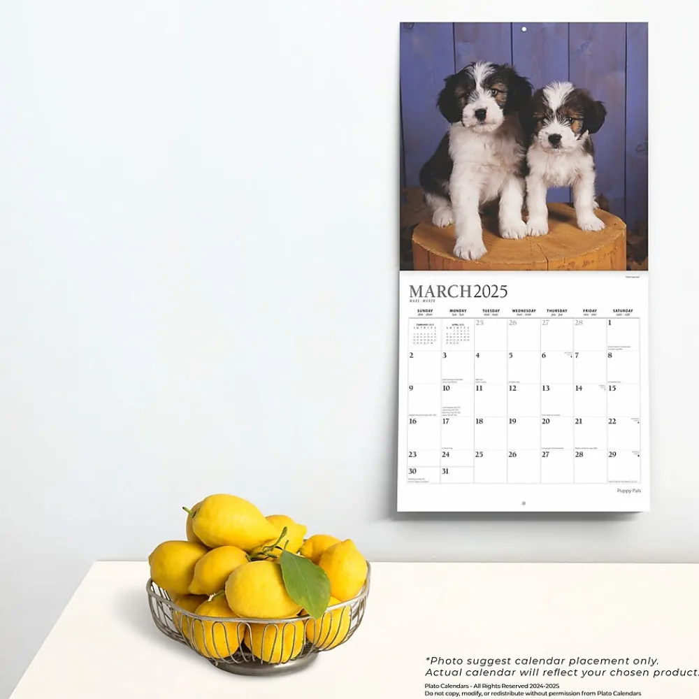 2025 Calendars|Plato 2025 Puppy Pals 12" x 12" Monthly Square Wall Calendar (9781975478988)