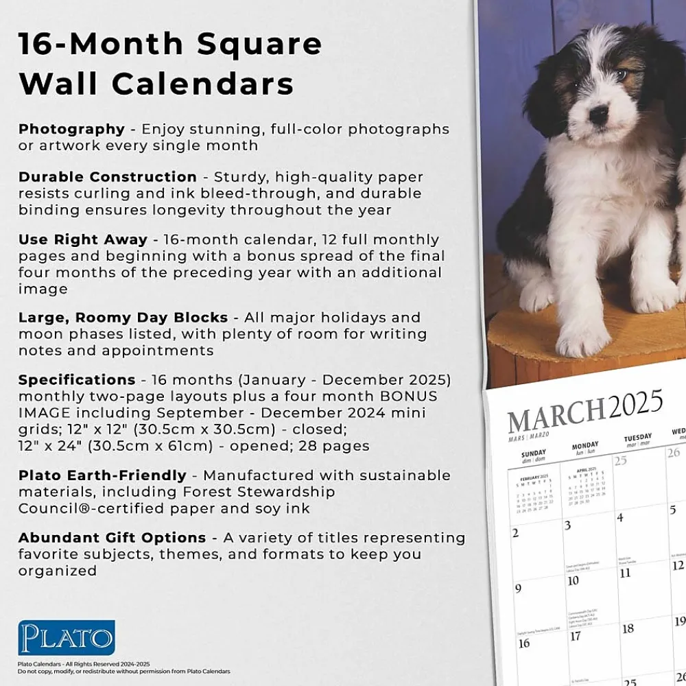 2025 Calendars|Plato 2025 Puppy Pals 12" x 12" Monthly Square Wall Calendar (9781975478988)