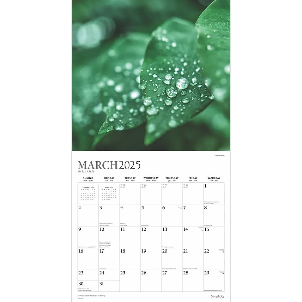 2025 Calendars|Plato 2025 Simplicity 12" x 24" Monthly Square Wall Calendar (9781975478810)