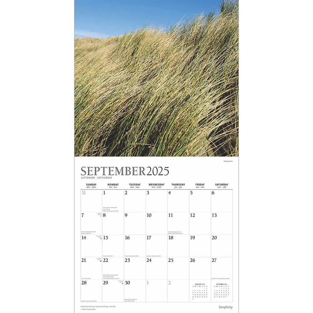 2025 Calendars|Plato 2025 Simplicity 12" x 24" Monthly Square Wall Calendar (9781975478810)
