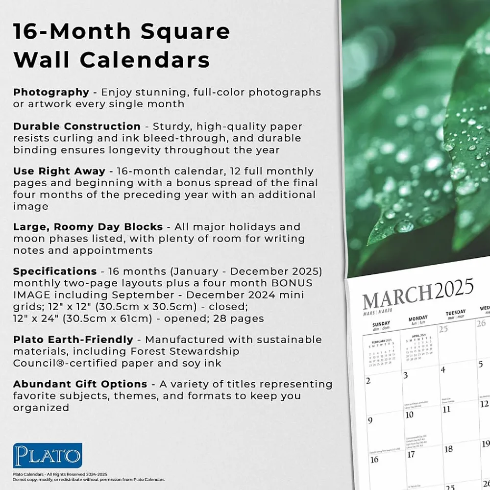 2025 Calendars|Plato 2025 Simplicity 12" x 24" Monthly Square Wall Calendar (9781975478810)