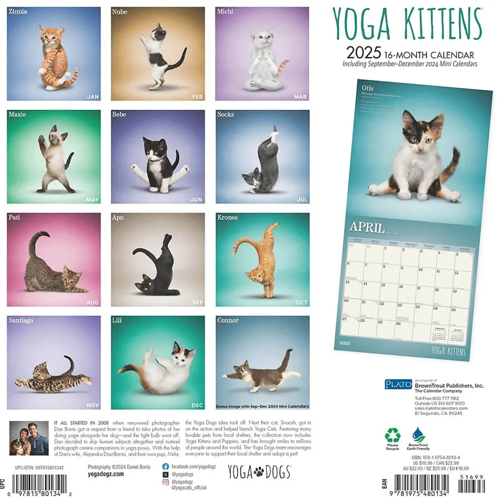 2025 Calendars|Plato 2025 Yoga Kittens 12" x 12" Monthly Wall Calendar (9781975480134)