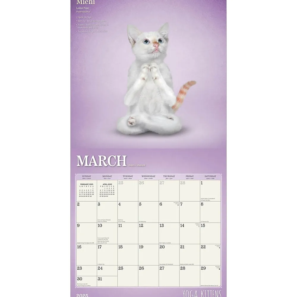 2025 Calendars|Plato 2025 Yoga Kittens 12" x 12" Monthly Wall Calendar (9781975480134)