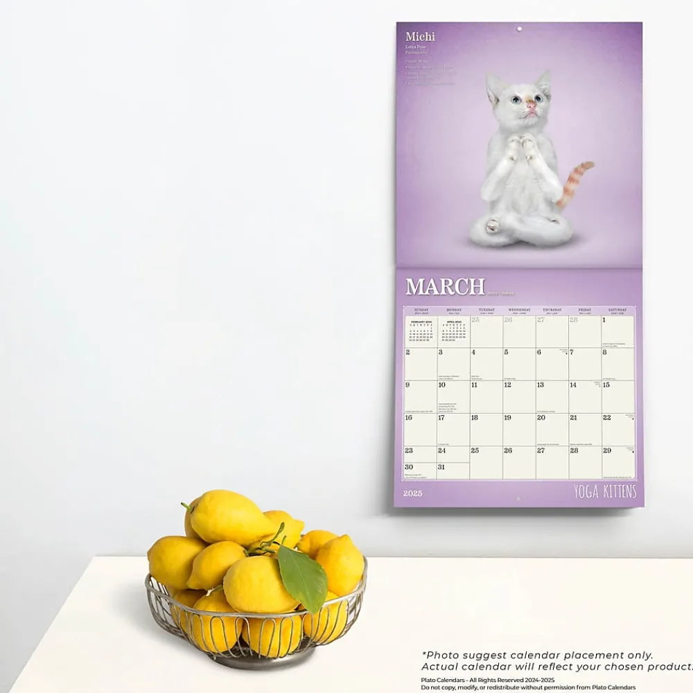 2025 Calendars|Plato 2025 Yoga Kittens 12" x 12" Monthly Wall Calendar (9781975480134)