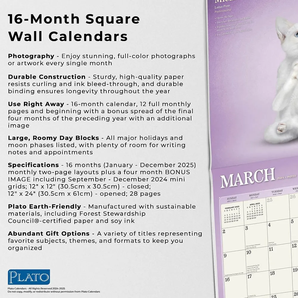 2025 Calendars|Plato 2025 Yoga Kittens 12" x 12" Monthly Wall Calendar (9781975480134)
