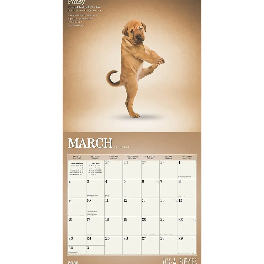 2025 Calendars|Plato 2025 Yoga Puppies 12" x 12" Monthly Wall Calendar (9781975480141)