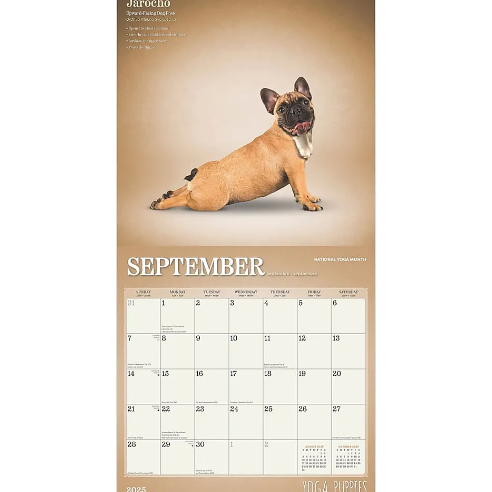 2025 Calendars|Plato 2025 Yoga Puppies 12" x 12" Monthly Wall Calendar (9781975480141)
