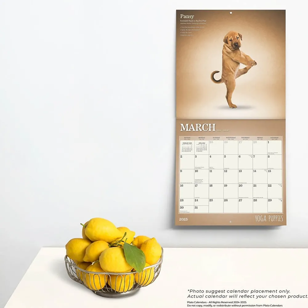 2025 Calendars|Plato 2025 Yoga Puppies 12" x 12" Monthly Wall Calendar (9781975480141)