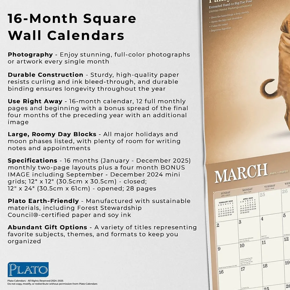 2025 Calendars|Plato 2025 Yoga Puppies 12" x 12" Monthly Wall Calendar (9781975480141)