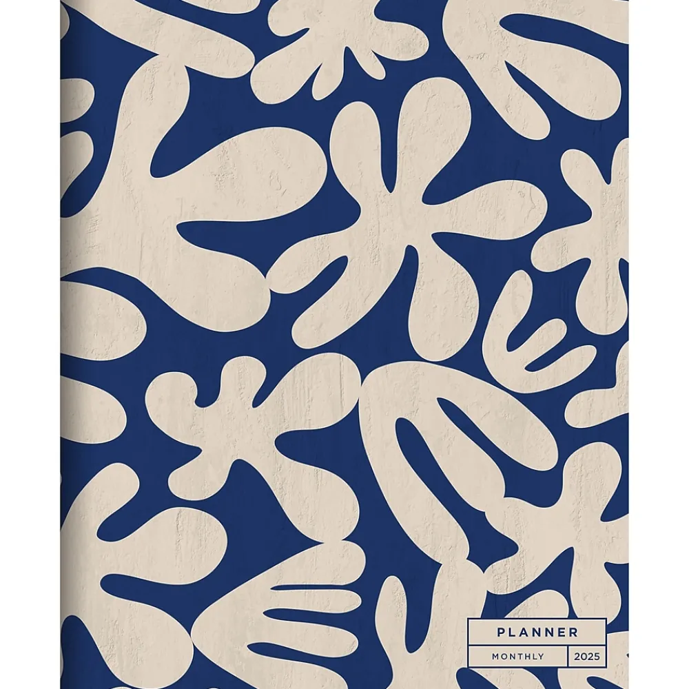 2025 Planners|TF Publishing 2025 9" x 11" Wacky and Wavy Large Monthly Planner 25-4716
