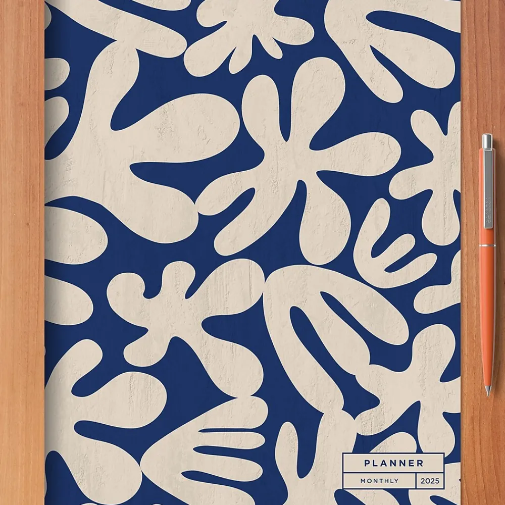 2025 Planners|TF Publishing 2025 9" x 11" Wacky and Wavy Large Monthly Planner 25-4716