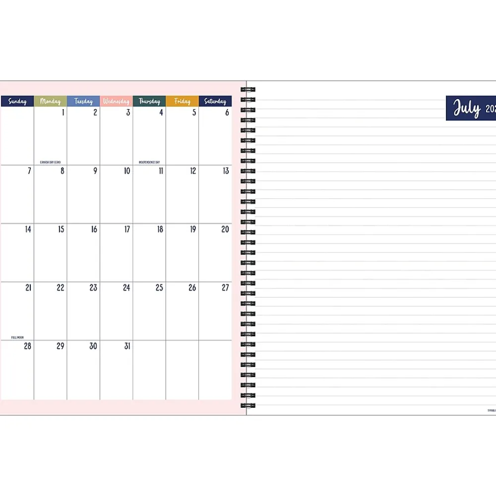 Academic Planners|TF Publishing 2024-2025 8.5" x 11" Academic Weekly & Monthly Teacher Planner, Paperboard Cover, Multicolor (AY25-9600)