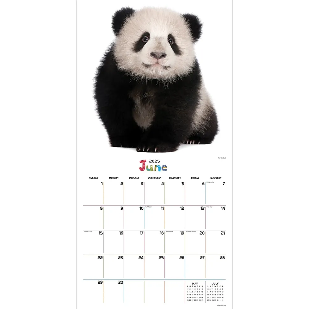 2025 Calendars|TF Publishing 2025 12" x 12" Baby Animals Wall Calendar (25-1000)