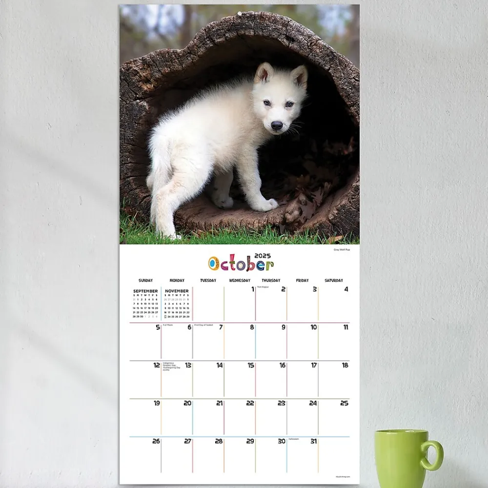 2025 Calendars|TF Publishing 2025 12" x 12" Baby Animals Wall Calendar (25-1000)