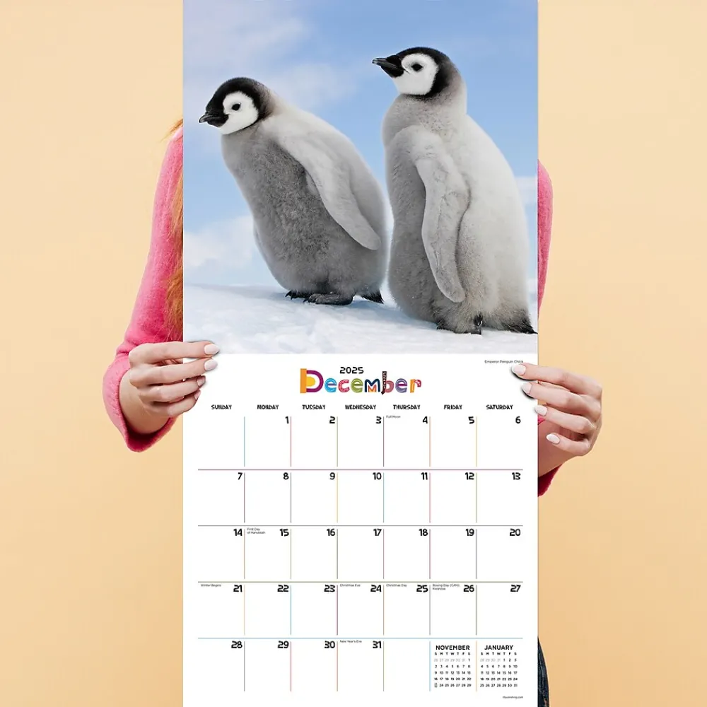 2025 Calendars|TF Publishing 2025 12" x 12" Baby Animals Wall Calendar (25-1000)