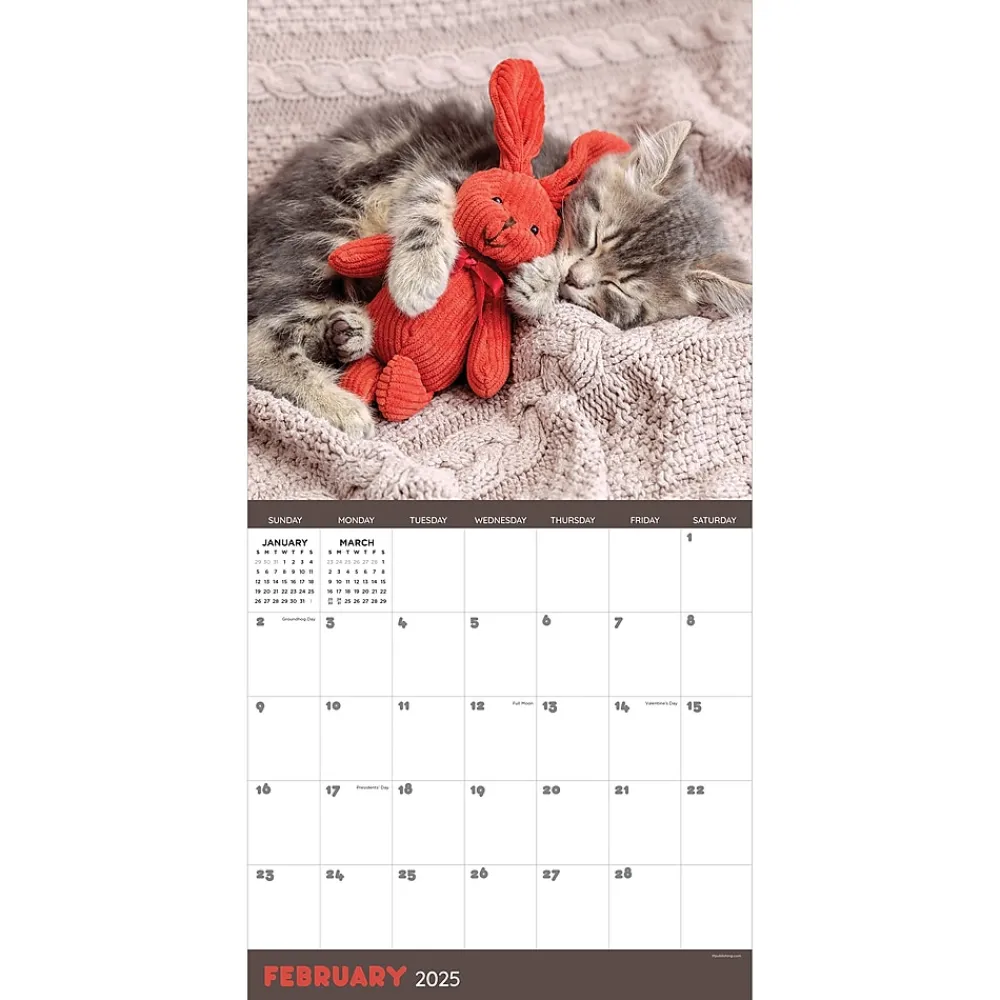 2025 Calendars|TF Publishing 2025 12" x 12" Cat Dreams Wall Calendar (25-1003)
