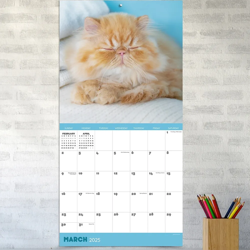 2025 Calendars|TF Publishing 2025 12" x 12" Cat Dreams Wall Calendar (25-1003)