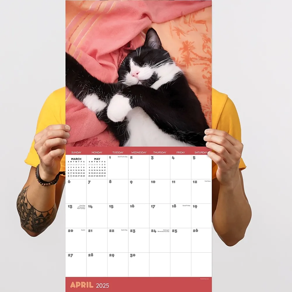 2025 Calendars|TF Publishing 2025 12" x 12" Cat Dreams Wall Calendar (25-1003)