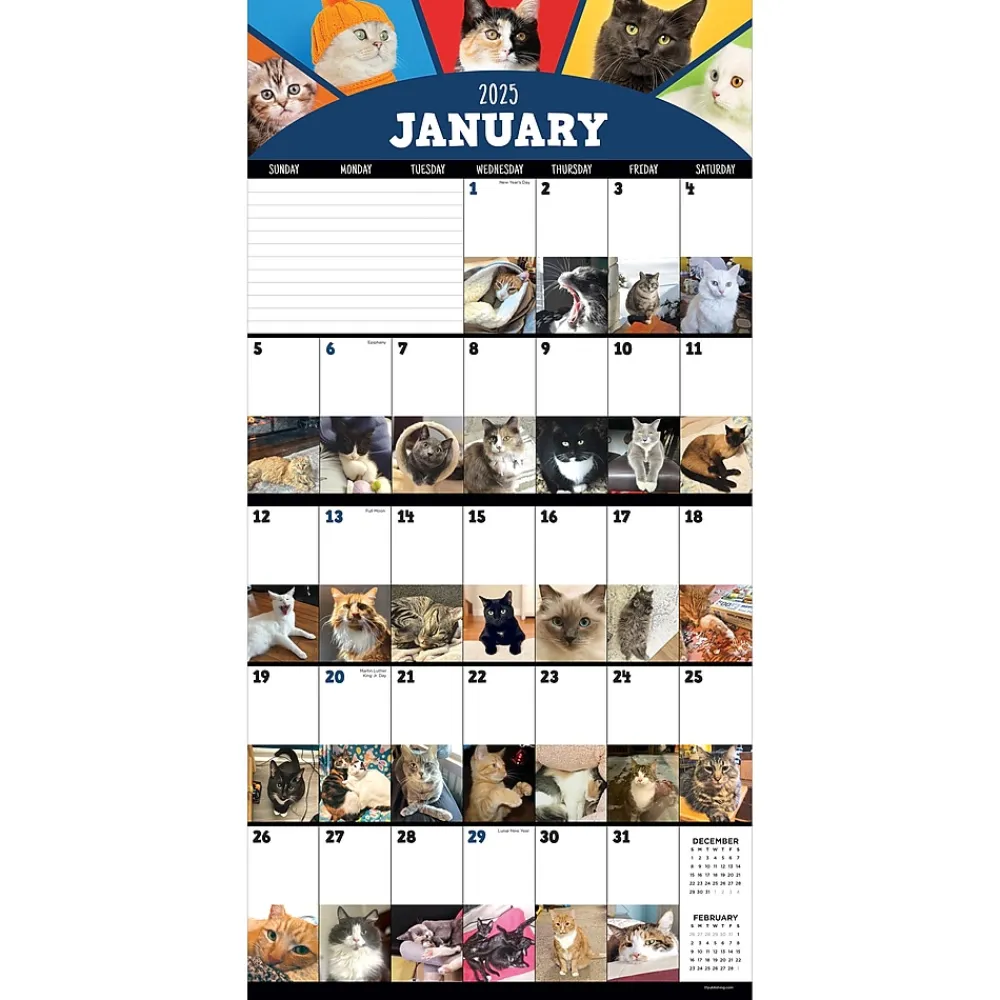 2025 Calendars|TF Publishing 2025 12" x 12" Cat-A-Day Wall Calendar (25-1002)