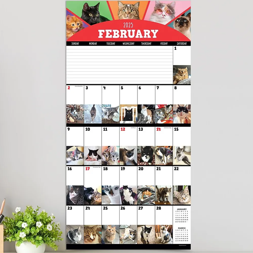 2025 Calendars|TF Publishing 2025 12" x 12" Cat-A-Day Wall Calendar (25-1002)