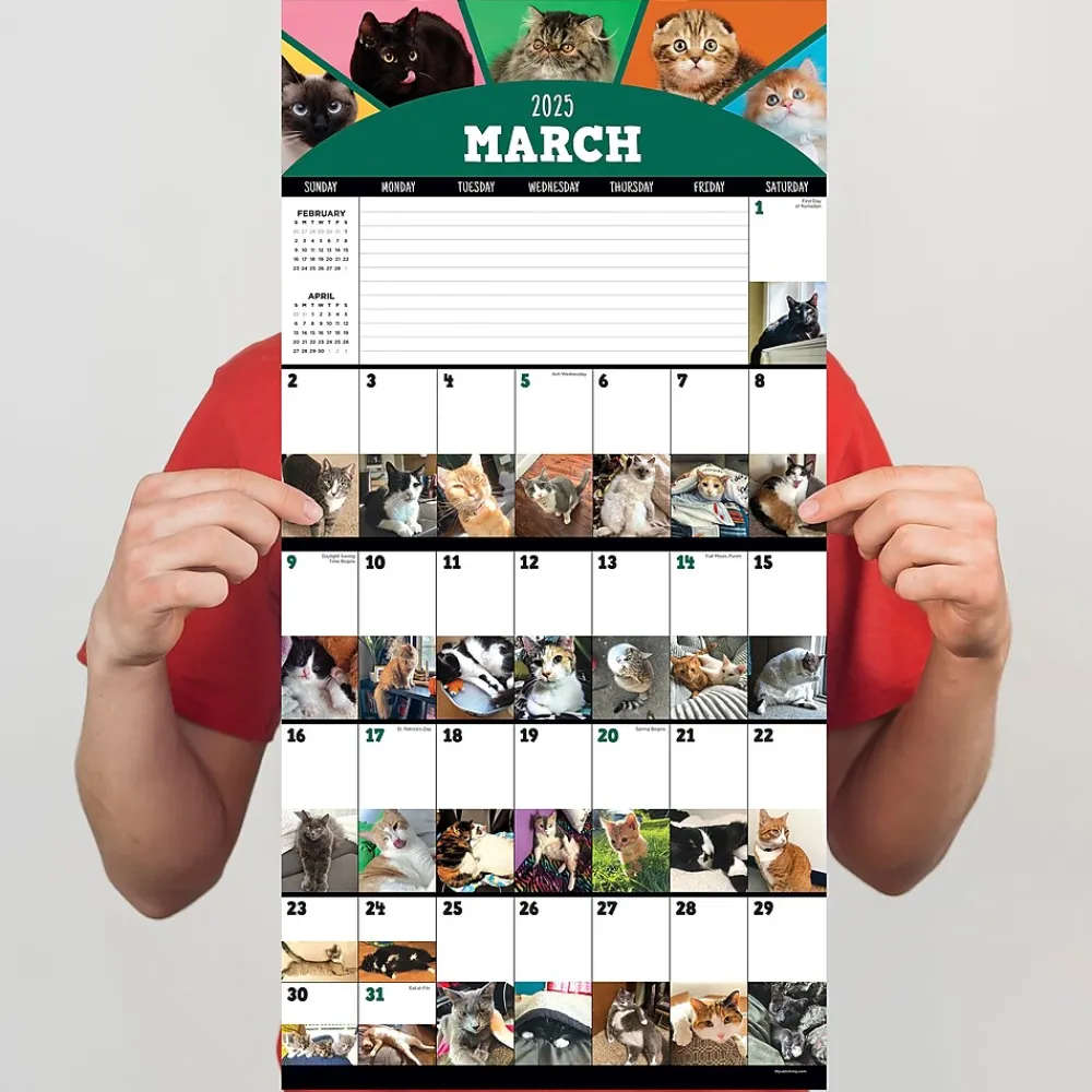 2025 Calendars|TF Publishing 2025 12" x 12" Cat-A-Day Wall Calendar (25-1002)