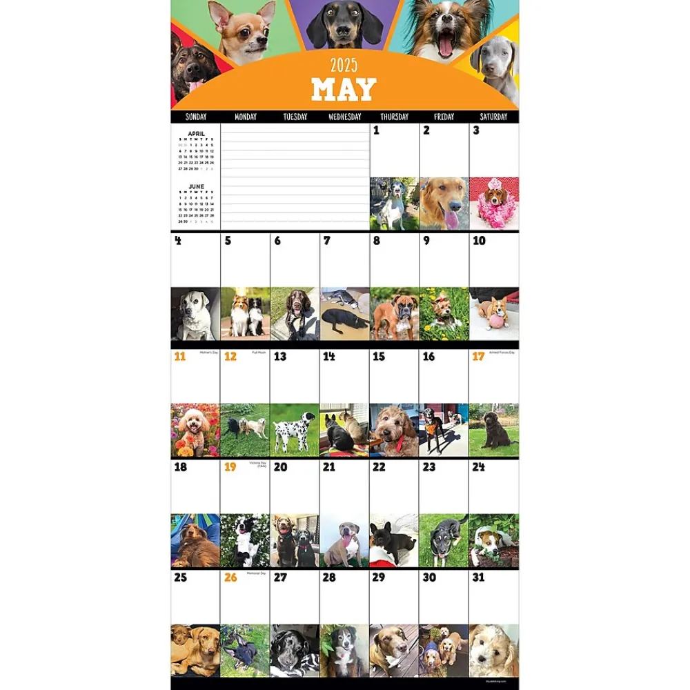 2025 Calendars|TF Publishing 2025 12" x 12" Dog-A-Day Wall Calendar (25-1009)