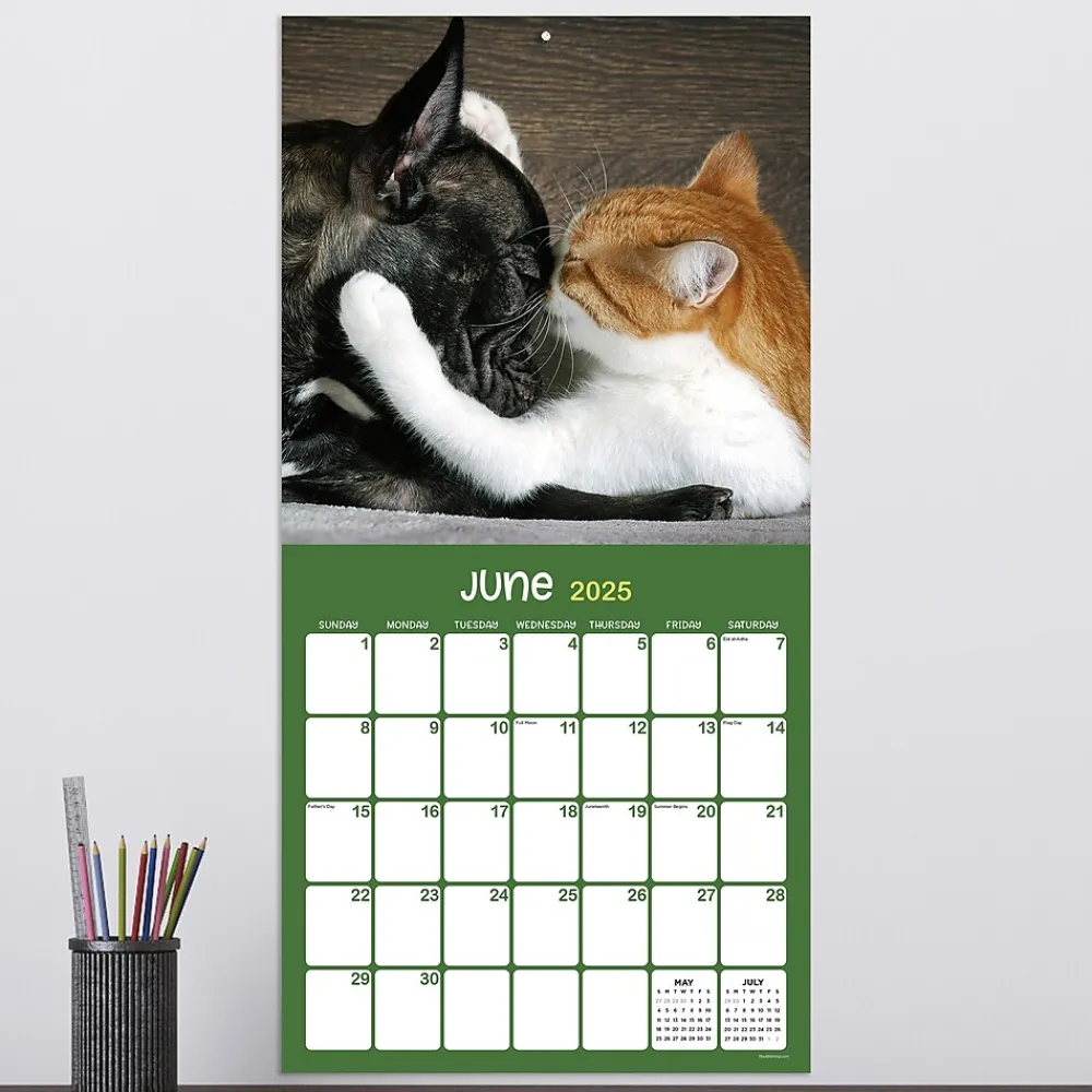 2025 Calendars|TF Publishing 2025 12" x 12" Furry Friends Wall Calendar (25-1011)