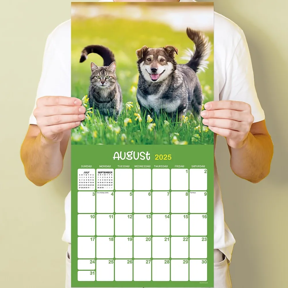 2025 Calendars|TF Publishing 2025 12" x 12" Furry Friends Wall Calendar (25-1011)