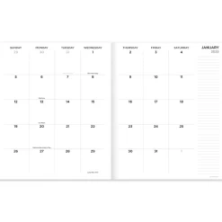 2025 Planners|TF Publishing 2025 9" x 11" Monthly Planner, Paperboard Cover, Always Animal Print (25-4700)