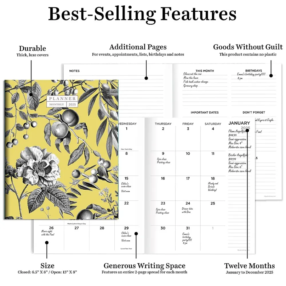 2025 Planners|TF Publishing 2025 6.5" x 8" Monthly Planner, Paperboard Cover, Beyond the Pale Yellow (25-4202)