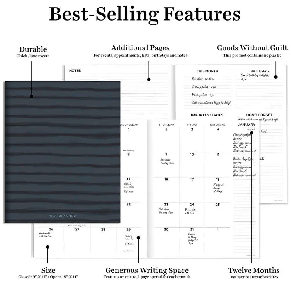 2025 Planners|TF Publishing 2025 9" x 11" Monthly Planner, Paperboard Cover, Naval Stripes (25-4714)