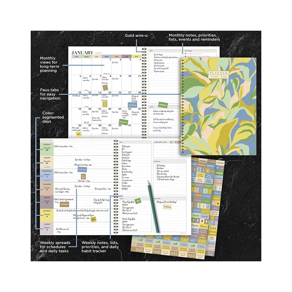 2025 Planners|TF Publishing 2025 9" x 11" Weekly & Monthly Planner, Paperboard Cover, Multicolor (25-9706)
