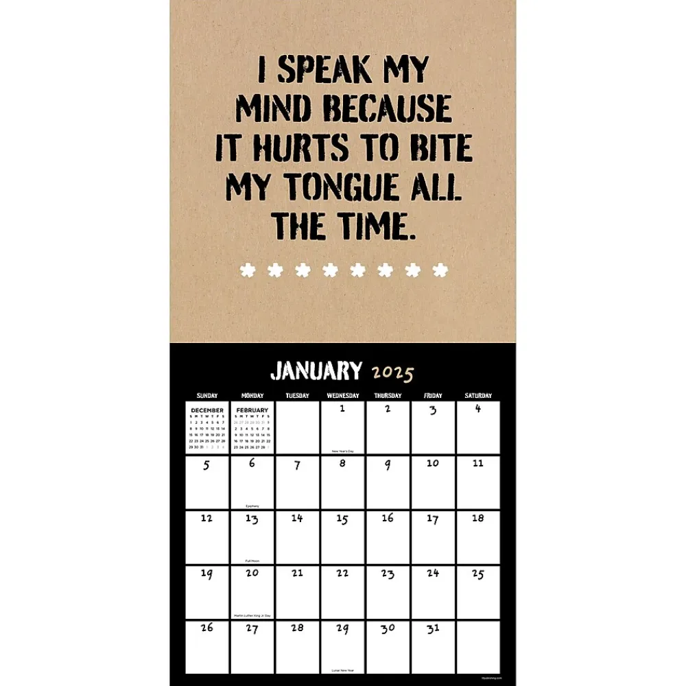 2025 Calendars|TF Publishing 2025 Anti-Affirmations 12" x 12" Monthly Wall Calendar (25-1100)